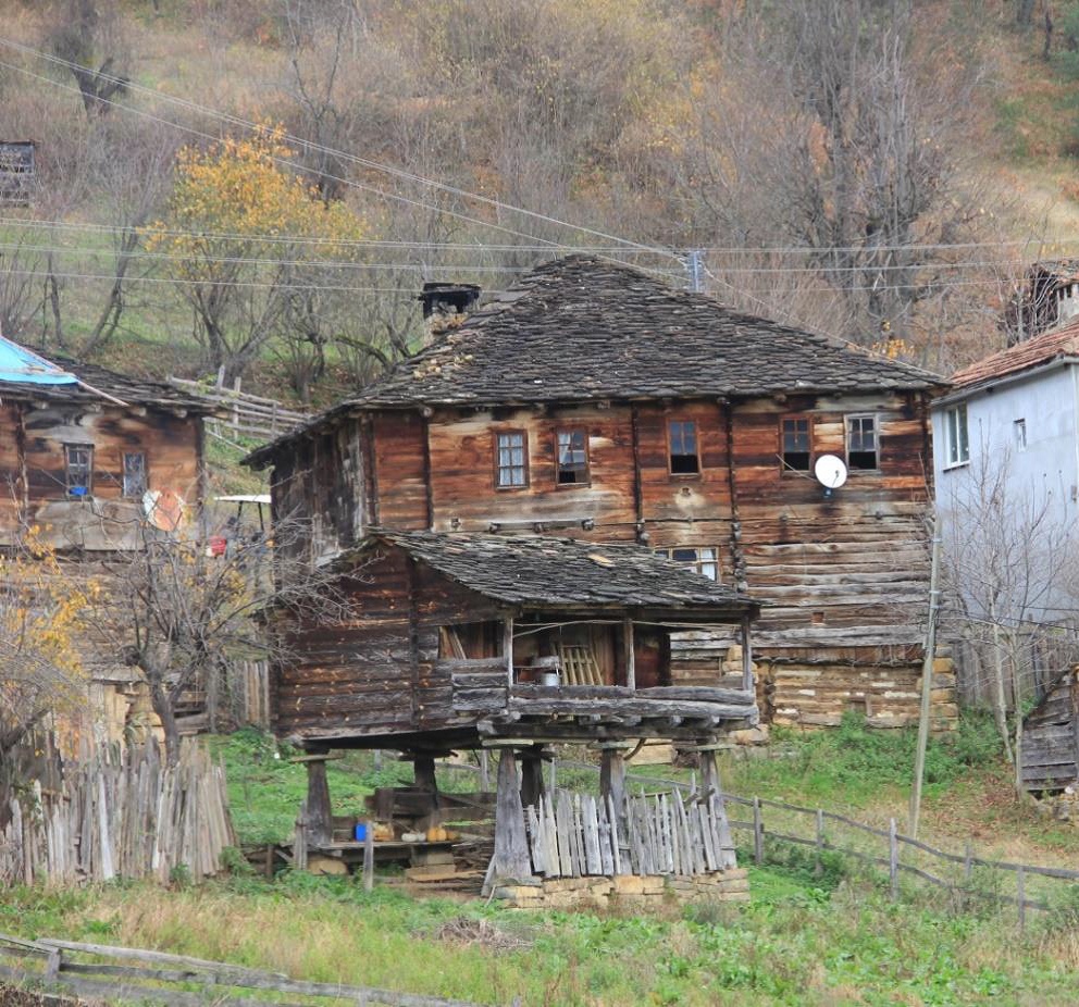 Abalı, Sinop