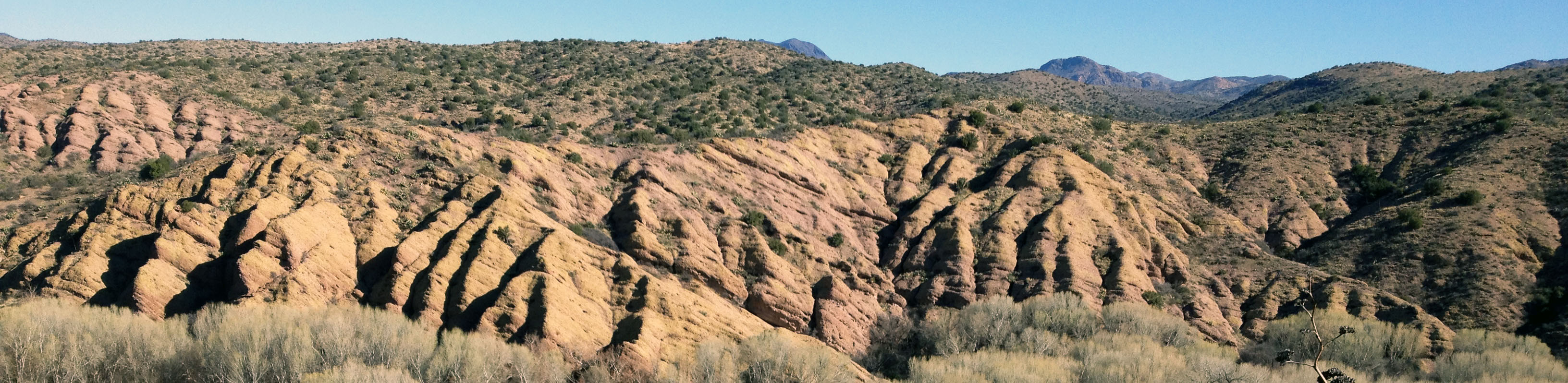 Arizona'da bozulmuş kurak arazide erozyon izleri. Fotoğraf, çölleşmeyle ilişkili arazi bozulması süreçlerinden erozyona örnek gösterir.